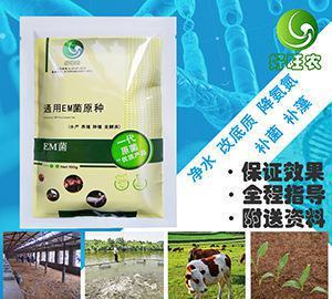 科学运用EM菌，开启青蛙生态高效养殖新篇章